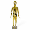 Child Gold Mannequin: Eco-Friendly Design with Rotatable Arms for Retail Display