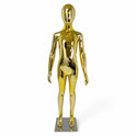 Child Gold Mannequin: Eco-Friendly Design with Rotatable Arms for Retail Display