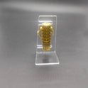 Clear Acrylic Watch Display Stand Watch Holder for Counter Retail Sales Shop