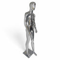 Male Plastic Display Egg Head Mannequin – Chrome 190cm