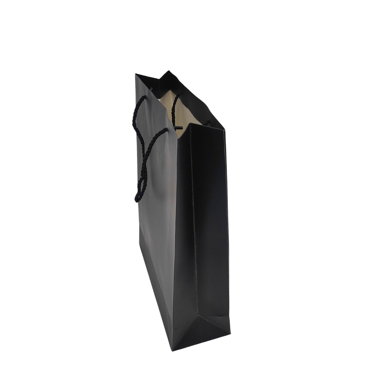 Paper Carrier Bags with Rope Handles – Various Sizes and Matt Finishes for Retail