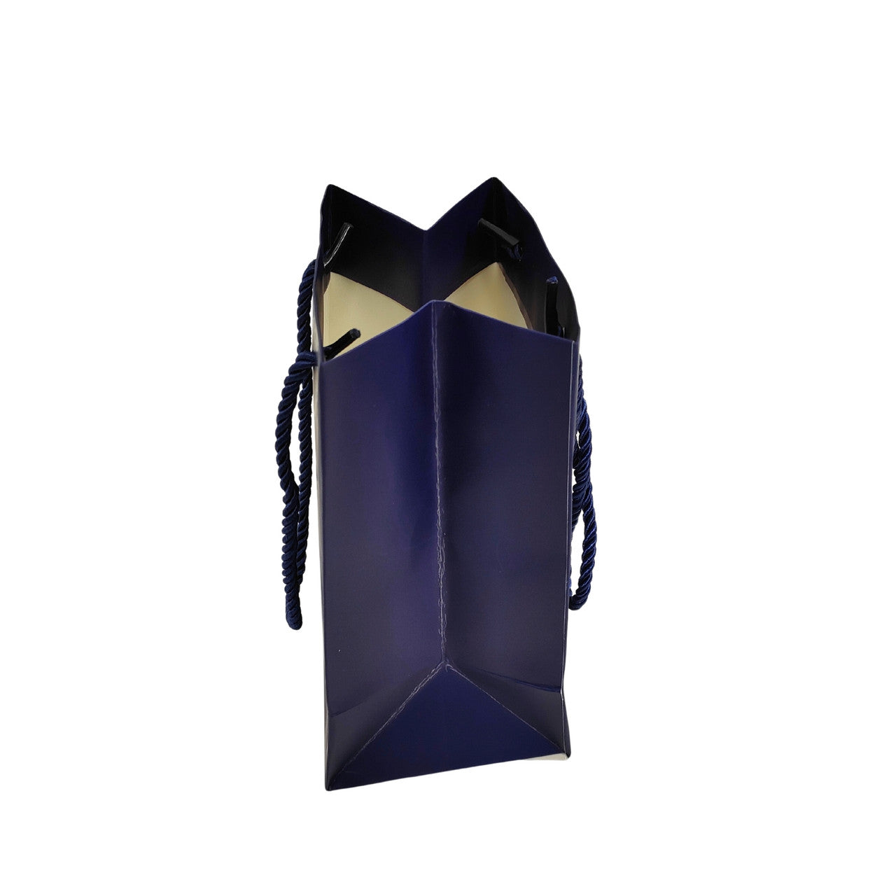 Blue Paper Carrier Bags with Rope Handles – Various Sizes and Matt Finishes