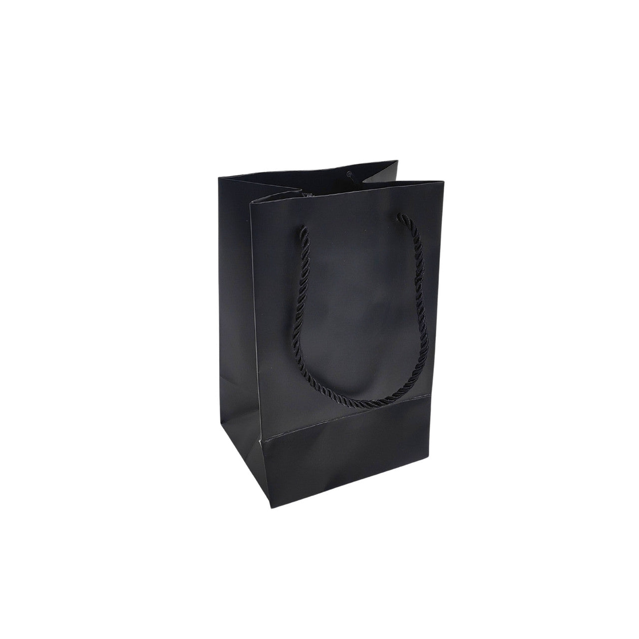 Paper Carrier Bags with Rope Handles – Various Sizes and Matt Finishes for Retail